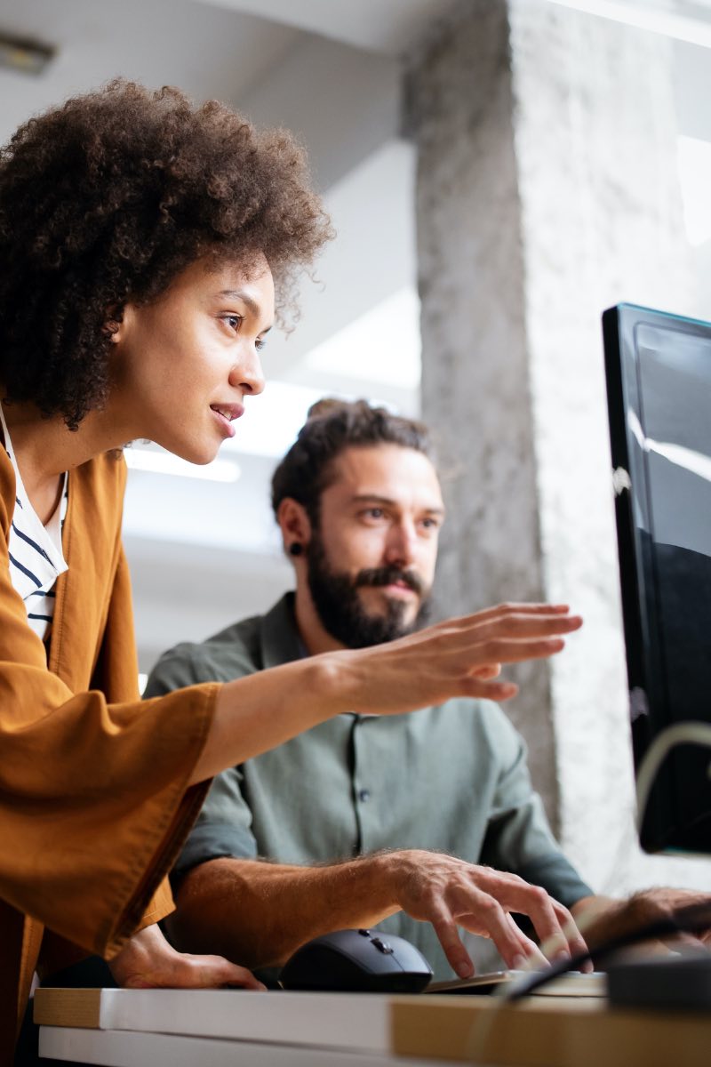 Information Technology Manager working with developer