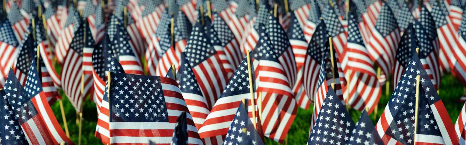 American flags on grass field