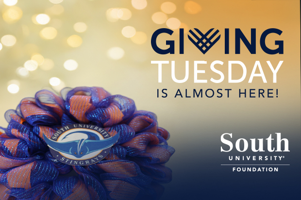 Giving Tuesday Foundation Promotion