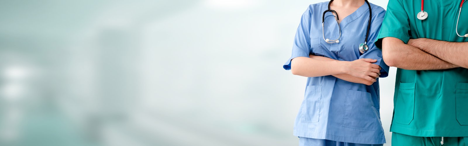 Rn To Msn In Family Nurse Practitioner Fnp South University