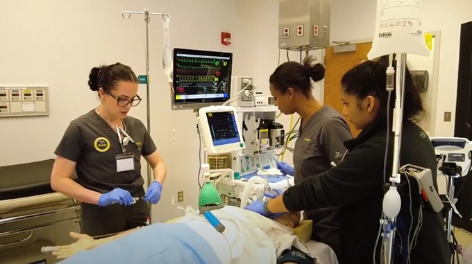 AA students working in simulation lab